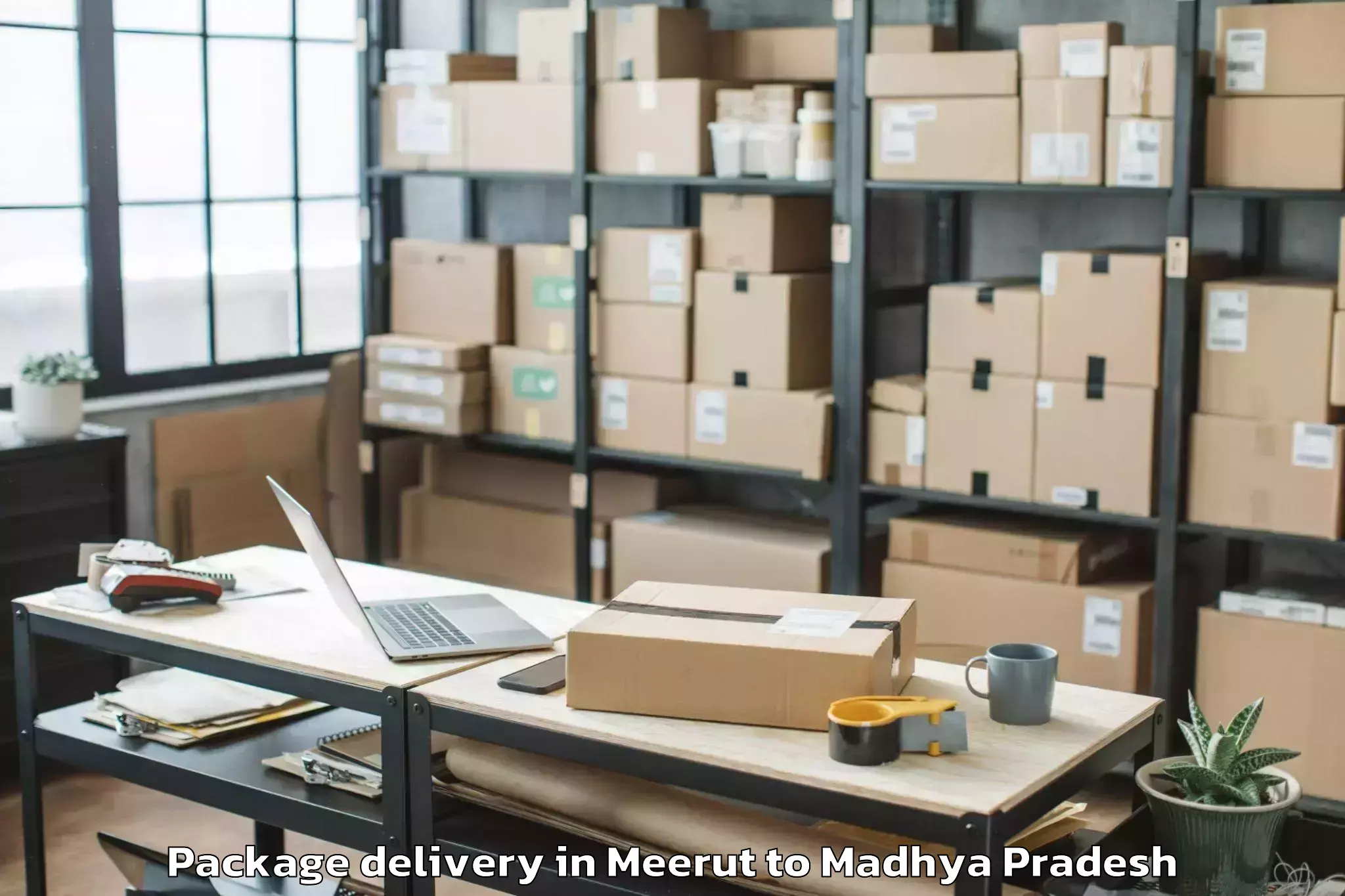 Trusted Meerut to Khurai Package Delivery